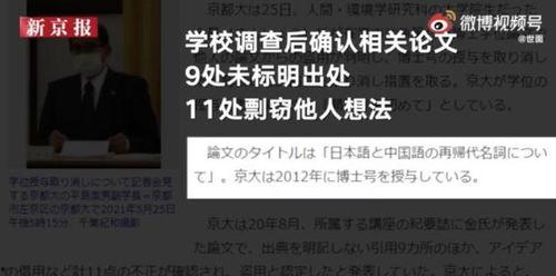 内鬼爆料博士是谁啊视频,揭秘“博士”真实身份之谜